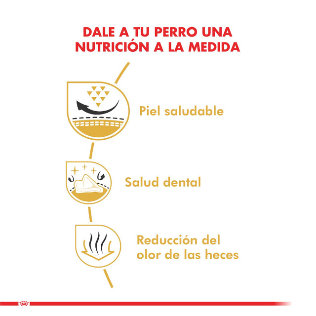 Royal Canin Shih Tzu Adulto 2 5Kg Royal Canin Shih Tzu Adulto 2 5Kg