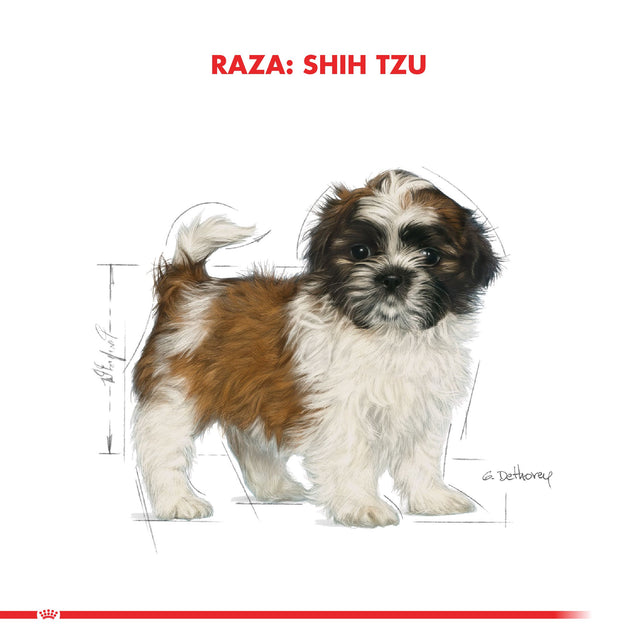Royal Canin Shih Tzu Junior 2 5Kg Royal Canin Shih Tzu Junior 2 5Kg