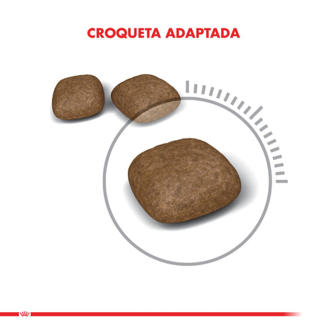 Alimento Seco para Gatos Royal Canin Urinary Care 1 5Kg Alimento Seco para Gatos Royal Canin Urinary Care 1 5Kg