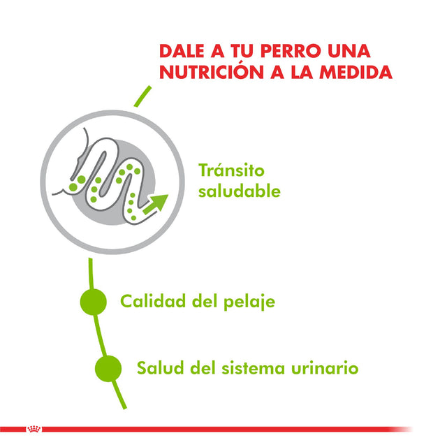 Royal Canin Xsmall Adult 1Kg Royal Canin Xsmall Adult 1Kg