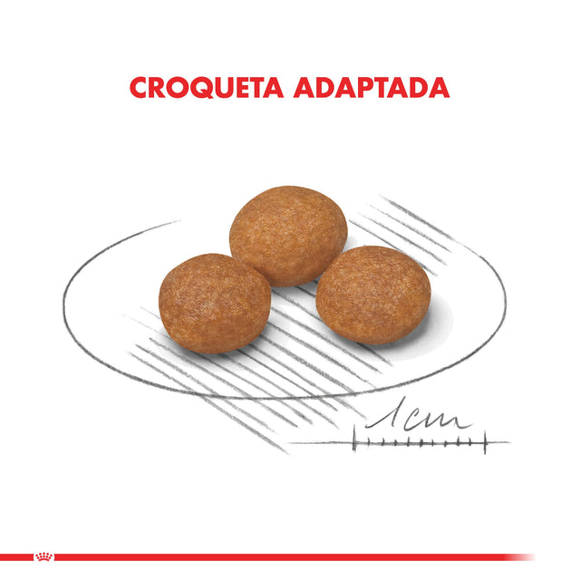 Royal Canin Xsmall Mature 8 1Kg Royal Canin Xsmall Mature 8 1Kg