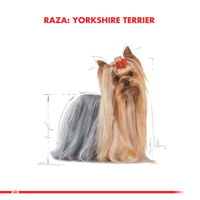 Royal Canin Yorkshire Terrier Adulto 2 5Kg  Royal Canin Yorkshire Terrier Adulto 2 5Kg