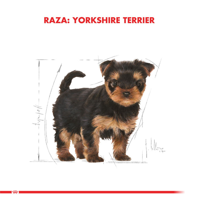 Royal Canin Yorkshire Terrier Puppy 2 5Kg Royal Canin Yorkshire Terrier Puppy 2 5Kg