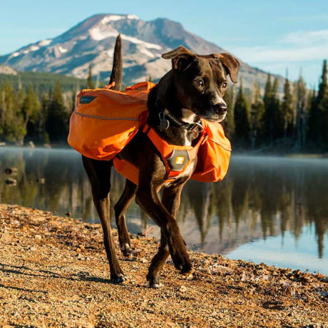 ruffwear Ruffwear Approach Dog Orange ruffwear Ruffwear Approach Dog Orange