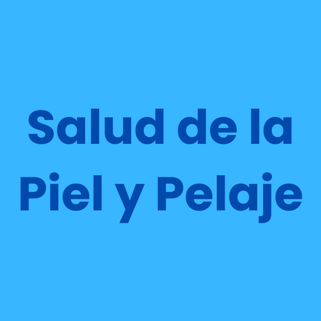 Alimentación Medicada para Perros  Alimentación Medicada para Perros