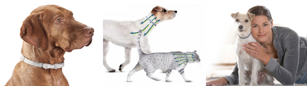 Seresto Collar Antipulgas Para Perros De Mas De 8Kg