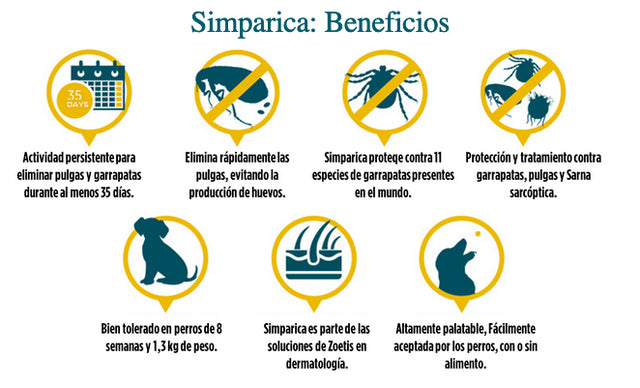 Simparica 40 A 60Kg 3 Comprimidos Simparica 40 A 60Kg 3 Comprimidos