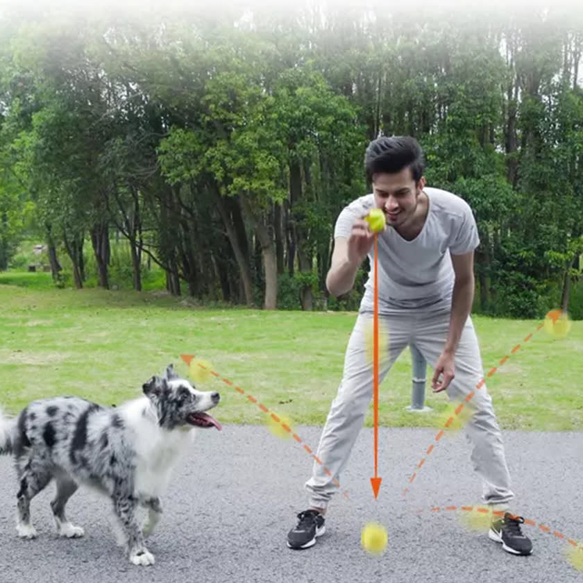 Skipdawg Agility Ball 2Pk