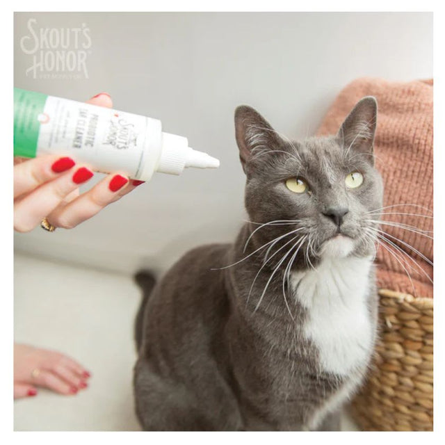 Skouts Honor Limpiador Probiotico De Oidos Para Gatos 118Ml Skouts Honor Limpiador Probiotico De Oidos Para Gatos 118Ml
