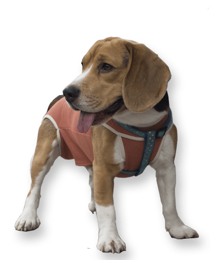 Body Cobre Copper Protection T 7 13 A 17Kg