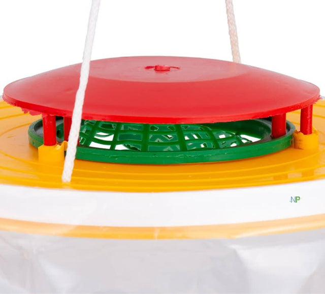 Trampa Domestica De Moscas Eco Anasac Jardin  Trampa Domestica De Moscas Eco Anasac Jardin