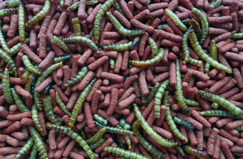 Tropifit Atelerix Para Erizo De Tierra 300Gr