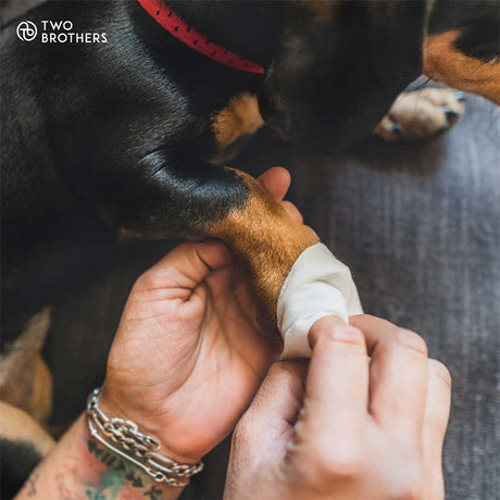 Higiene y Belleza para Gatos Two Brothers Toallitas Desodorizantes Hipoalergenicas 40 Unidades Higiene y Belleza para Gatos Two Brothers Toallitas Desodorizantes Hipoalergenicas 40 Unidades