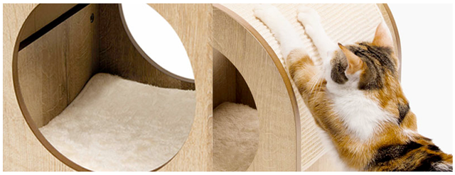 Vesper Monou Nogal  Vesper Monou Nogal