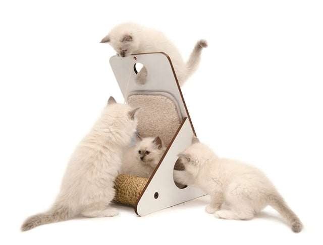 Vesper Rascador V Playstation White  Vesper Rascador V Playstation White