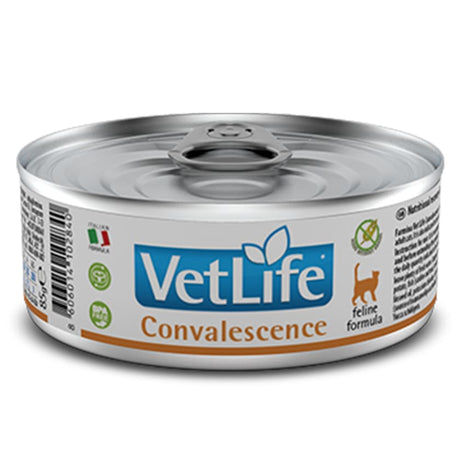Alimento Húmedo para Gatos Vet Life Cat Convalescence Lata 85Gr Alimento Húmedo para Gatos Vet Life Cat Convalescence Lata 85Gr