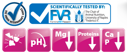 Vet Life Cat Urinary Struvite Lata 85Gr  Vet Life Cat Urinary Struvite Lata 85Gr
