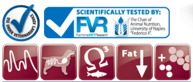 Vet Life Dog Gastrointestinal Lata 300Gr  Vet Life Dog Gastrointestinal Lata 300Gr