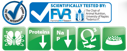 Vet Life Dog Renal Lata 300Gr Vet Life Dog Renal Lata 300Gr
