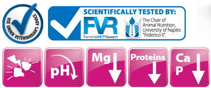 Vet Life Dog Struvite Lata 300Gr Vet Life Dog Struvite Lata 300Gr