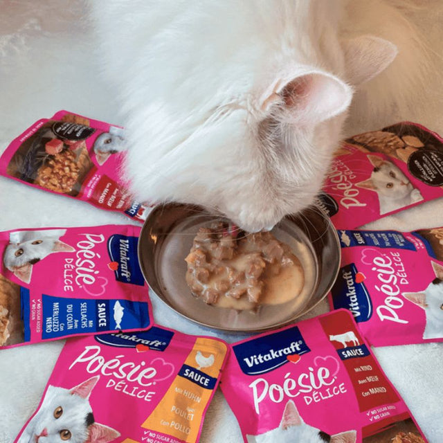 Vitakraft Cat Snack Poesi Delice Sabor Pescado 85Gr Vitakraft Cat Snack Poesi Delice Sabor Pescado 85Gr