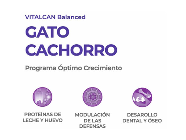 Vitalcan Cat Kitten 2Kg Vitalcan Cat Kitten 2Kg