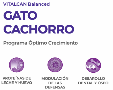Vitalcan Cat Kitten 7 5Kg Vitalcan Cat Kitten 7 5Kg