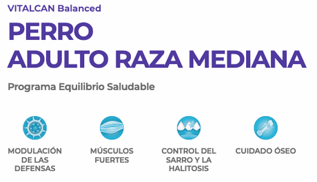Vital Can Balanced Vitalcan Perro Adulto Raza Grande 3Kg Vital Can Balanced Vitalcan Perro Adulto Raza Grande 3Kg