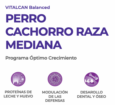 Vitalcan Perro Cachorro Raza Mediana 12Kg Vitalcan Perro Cachorro Raza Mediana 12Kg