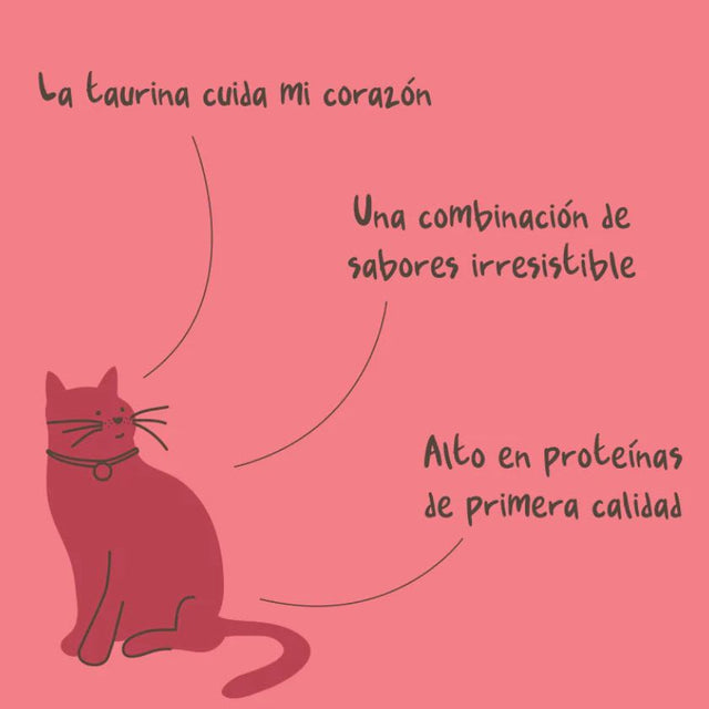 Winga Magic Salmon Snack Para Gatos 60Gr Winga Magic Salmon Snack Para Gatos 60Gr