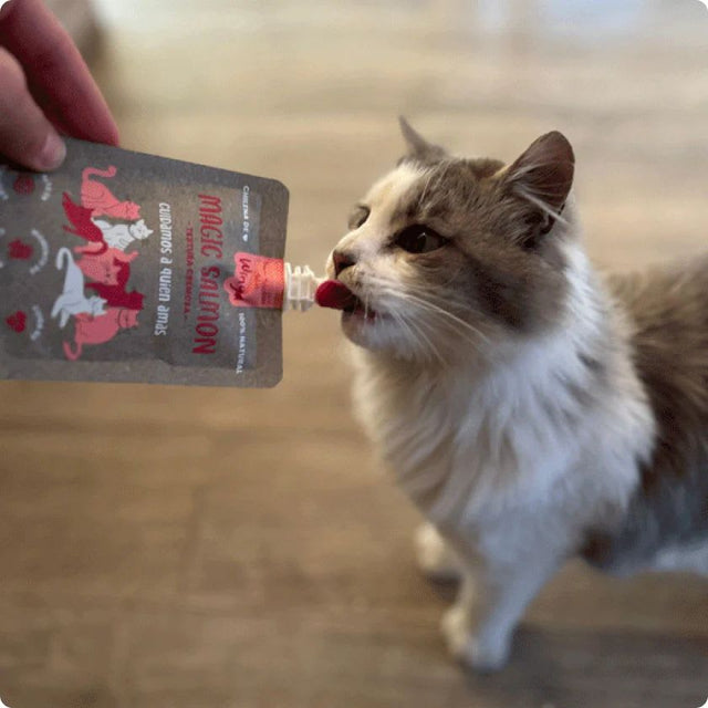 Winga Magic Salmon Snack Para Gatos 60Gr Winga Magic Salmon Snack Para Gatos 60Gr