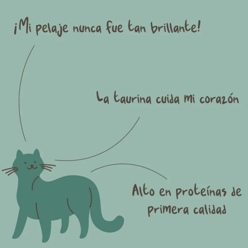 Winga Pork Paradise Snack Para Gatos 60Gr