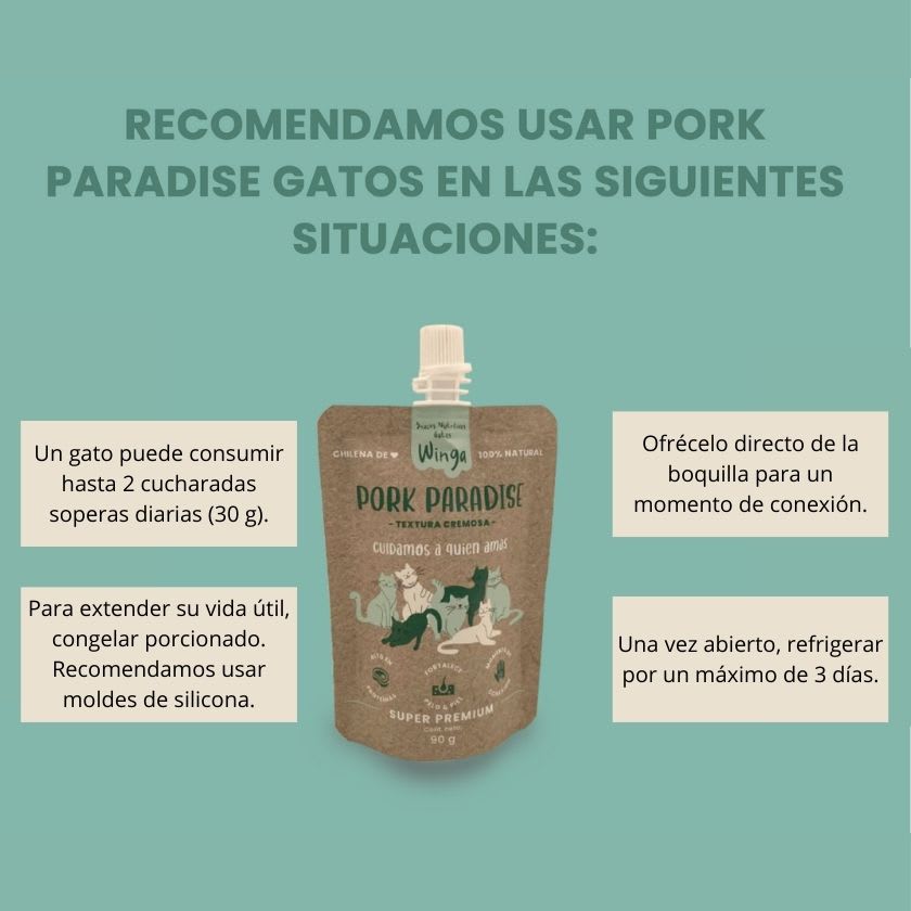 Winga Pork Paradise Snack Para Gatos 60Gr