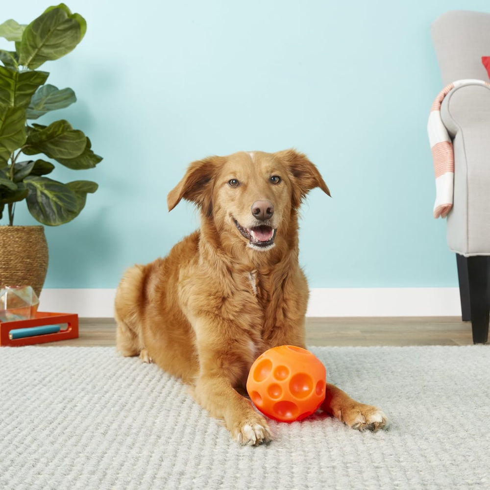 Omega Paw Pelota Para Golosinas Medium