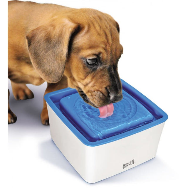 Zeus Mini Bebedero 1 5 Litros Zeus Mini Bebedero 1 5 Litros