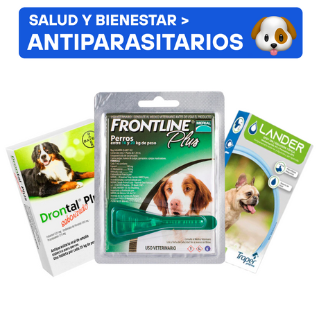 Salud y Bienestar para Perros Antiparasitarios Internos y Externos para Perros