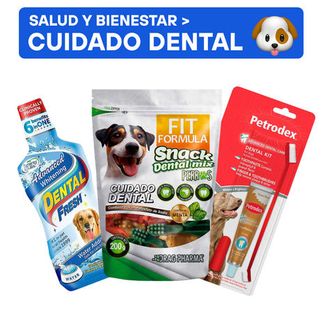 Salud y Bienestar para Perros Cuidado Dental para Perros