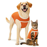  BodyCobre Tradicional Postoperatorio