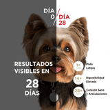  Purina® One® Adulto Mini Y Pequeno Pollo Y Cordero 6Kg