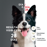 Alimento Seco Para Perro Purina® One® Cachorro Pollo Y Carne