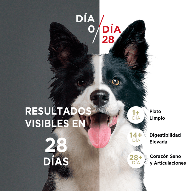 Alimento Seco Para Perro Purina® One® Cachorro Pollo Y Carne
