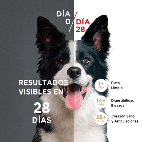 Purina® One® Cachorro Pollo Y Carne 12Kg