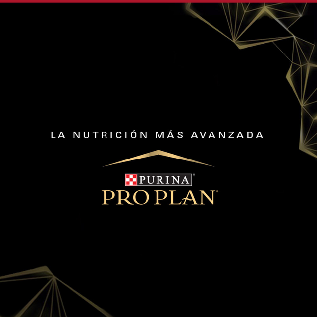  Purina Pro Plan Adult Small con OptiLife 3kg
