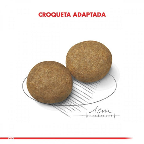 Royal Canin Medium Adulto 12Kg