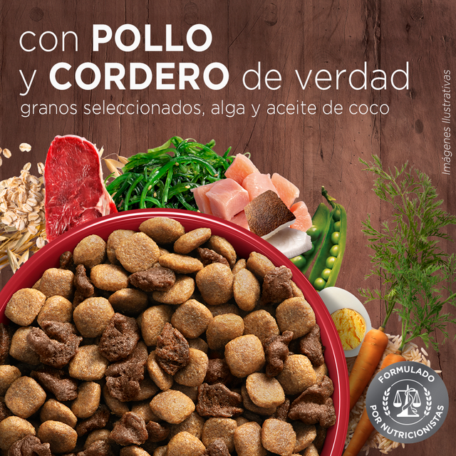  Purina® One® Adulto Mediano Y Grande Pollo Y Cordero 6Kg