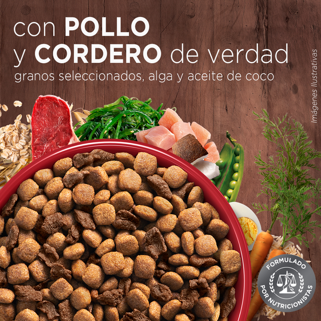  Purina® One® Adulto Mini Y Pequeno Pollo Y Cordero 6Kg