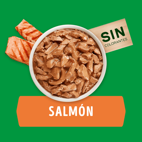 Purina Dog Chow Alimento Humedo Adulto Razas Pequenas Salmon 100Gr