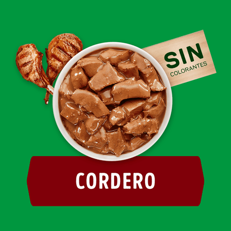 Alimento Humedo Para Perro Dog Chow® Adultos Con Cordero Sobre 100Gr Pack 15 Unidades