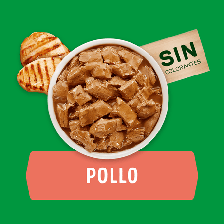 Alimento Humedo Para Perro Dog Chow® Adultos Con Pollo Sobre 100Gr Pack 15 Unidades