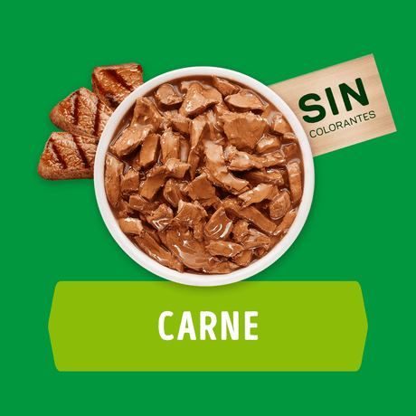 Alimento Humedo Para Perro Dog Chow® Cachorros Con Carne Sobre 100Gr Pack 15 Unidades